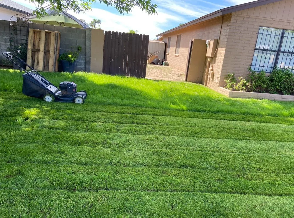 Reliable landscape design experts serving Surprise, AZ - DVM Landscaping