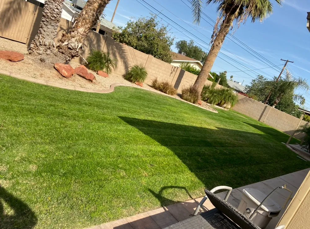 Professional yard cleanup service in Surprise, AZ by DVM Landscaping