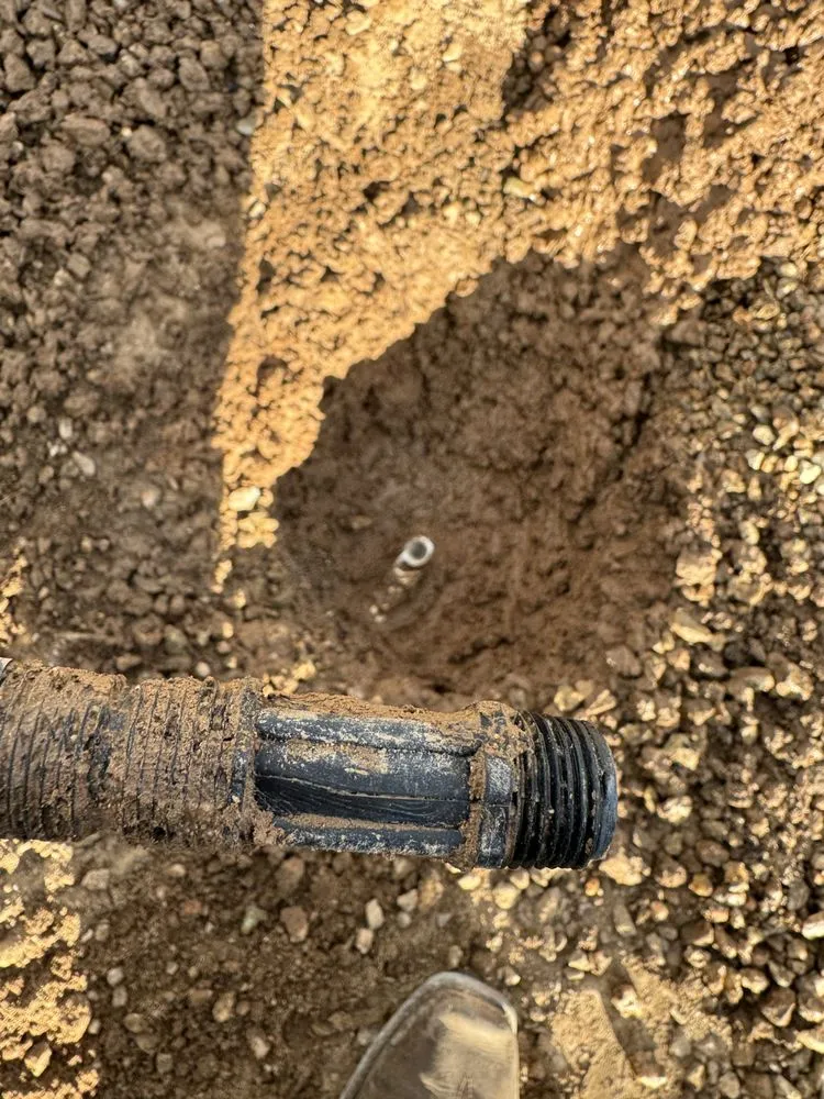 Custom residential landscaping in Surprise, AZ - DVM Landscaping