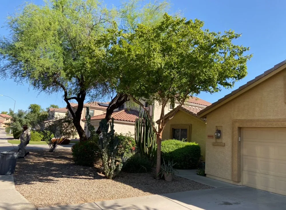 Top-rated landscape design for residential properties across Surprise, AZ - DVM Landscaping