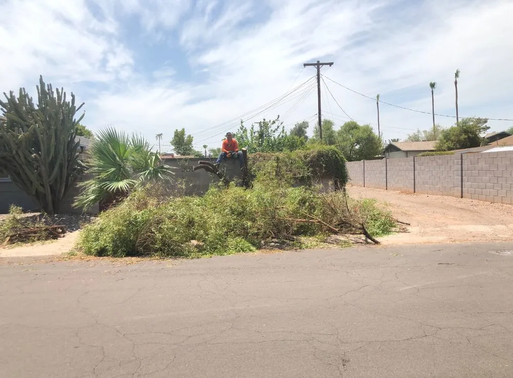 Affordable lawn care service experts serving Surprise, AZ - DVM Landscaping