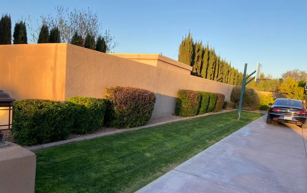 Top-rated landscape installation with custom design across Surprise, AZ - DVM Landscaping