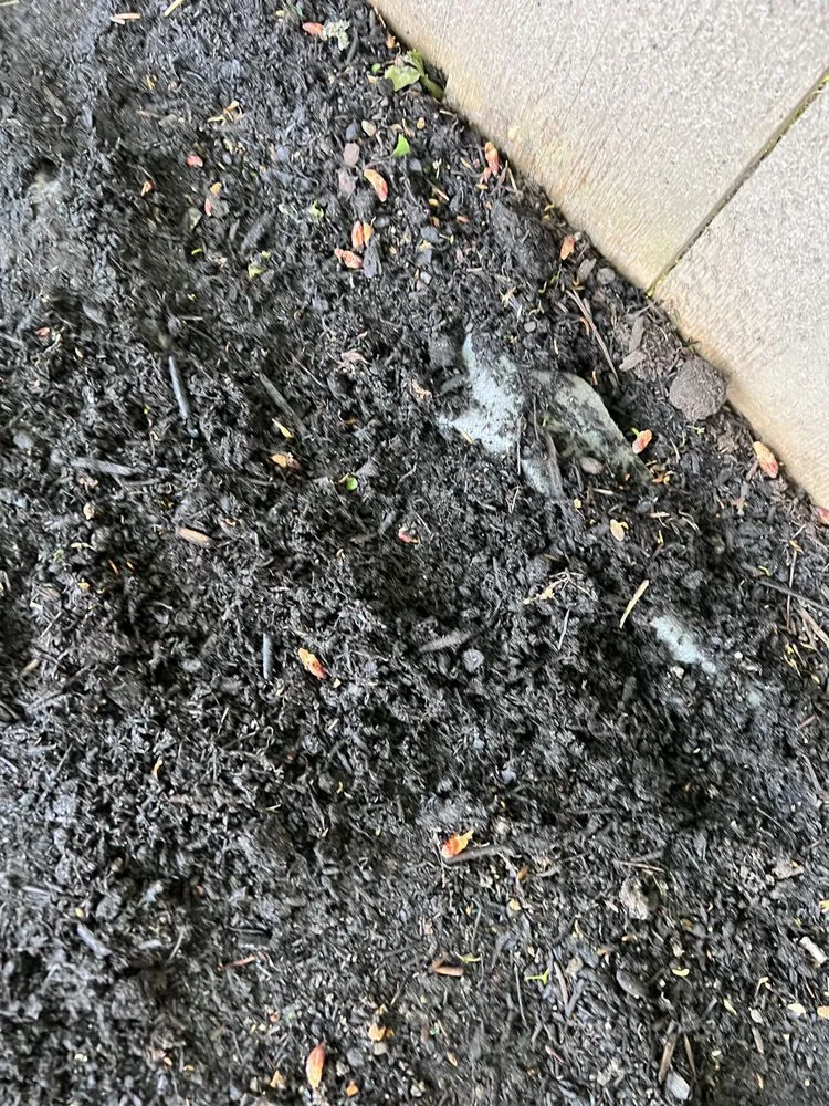 Affordable landscape installation for residential properties in Tacoma, WA by DVO Landscaping