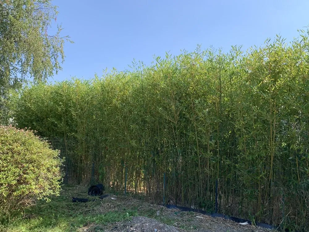 Expert landscape installation near you across Tacoma, WA - DVO Landscaping