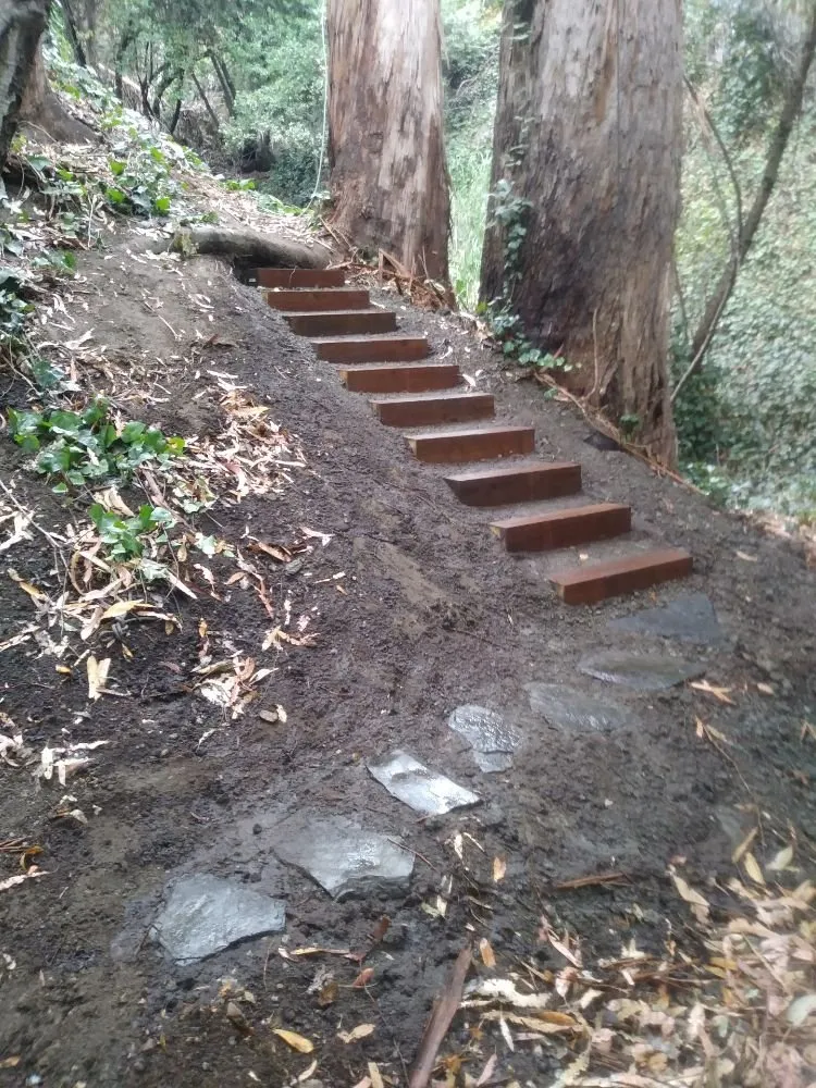 Expert yard maintenance in San Pablo, CA by DVS Landscaping