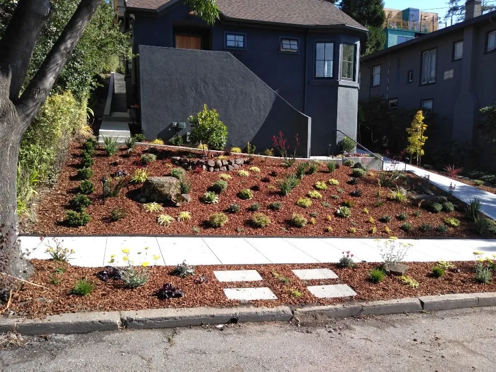 Professional outdoor landscaping for residential properties across San Pablo, CA - DVS Landscaping