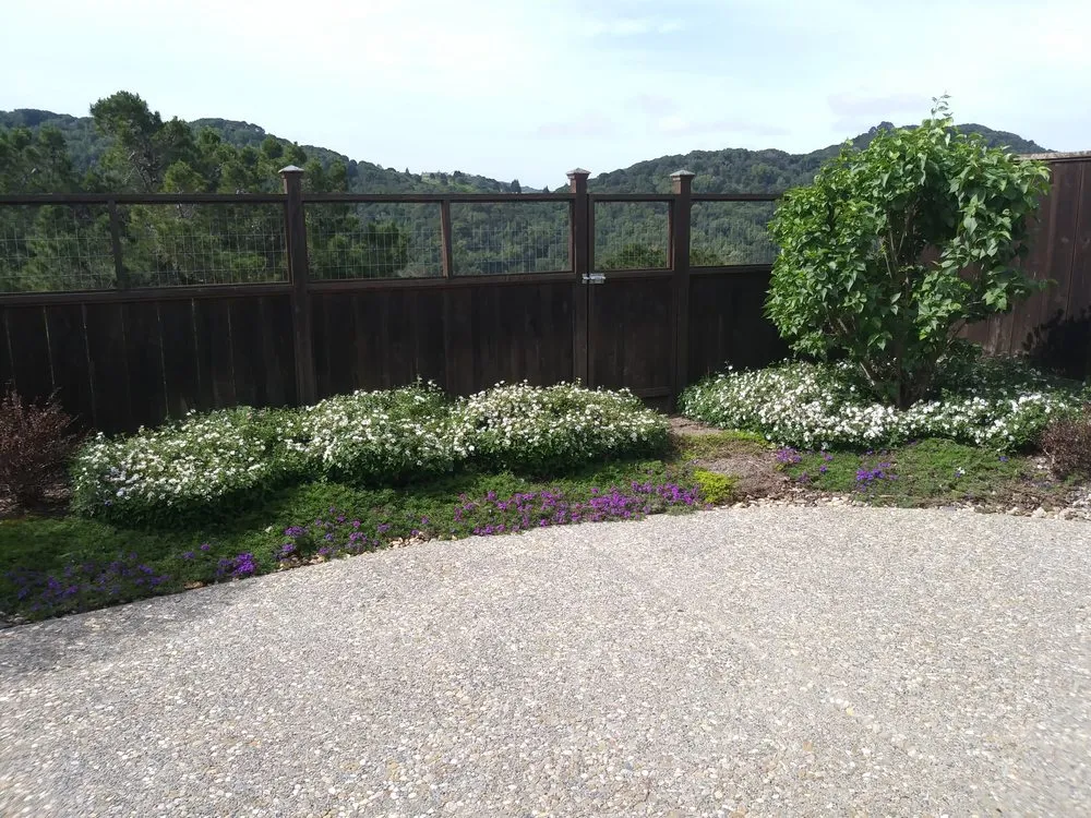 Trusted yard maintenance in San Pablo, CA by DVS Landscaping