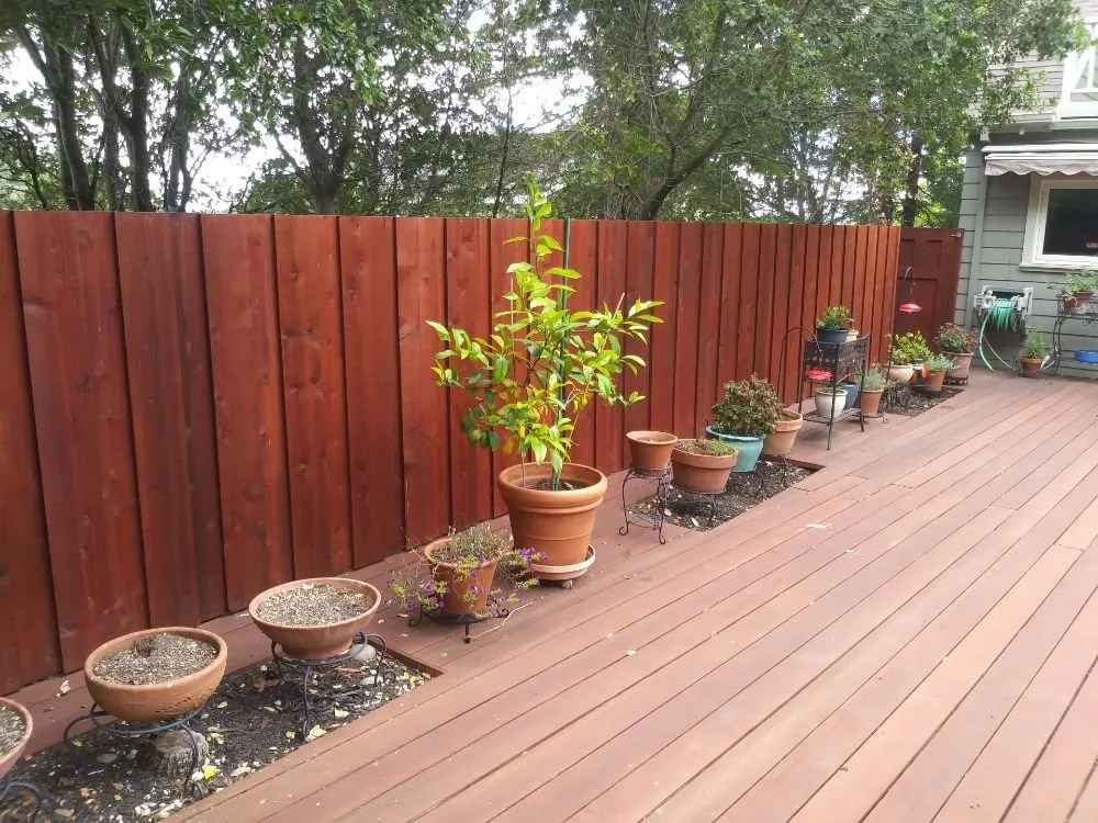 Expert lawn mowing service with custom design across San Pablo, CA - DVS Landscaping