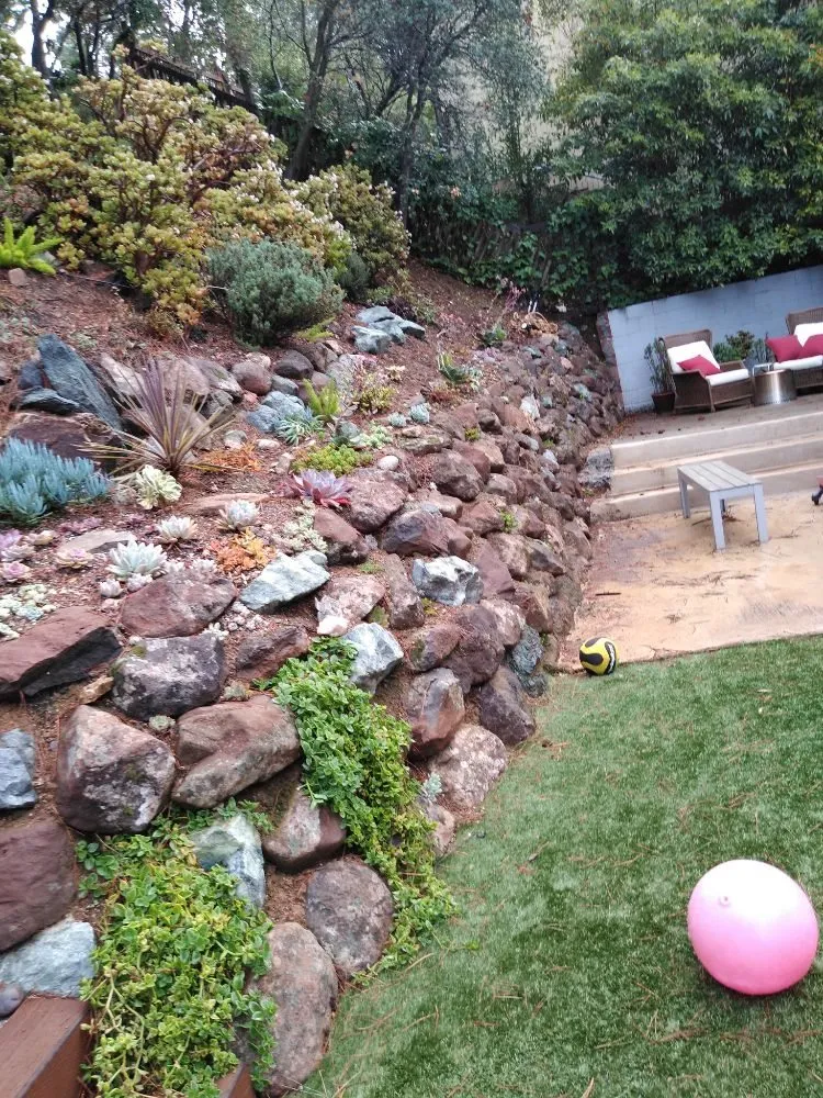Expert residential landscaping for year-round maintenance in San Pablo, CA by DVS Landscaping