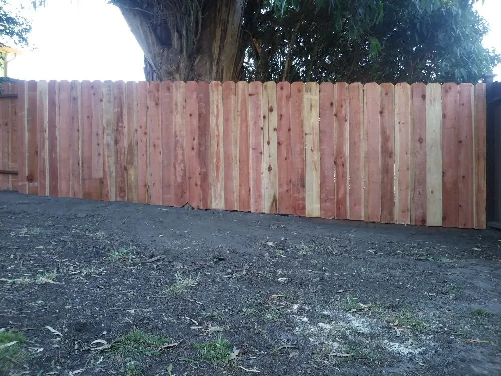 Affordable landscaping services experts serving San Pablo, CA - DVS Landscaping