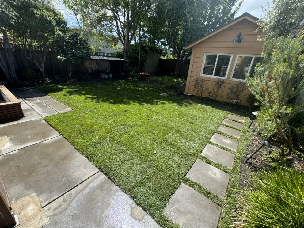 Local lawn care service near you in San Pablo, CA by DVS Landscaping