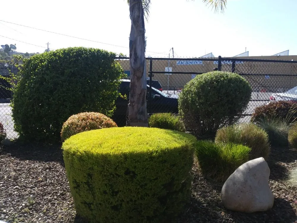 Custom landscape installation for residential properties in San Pablo, CA by DVS Landscaping