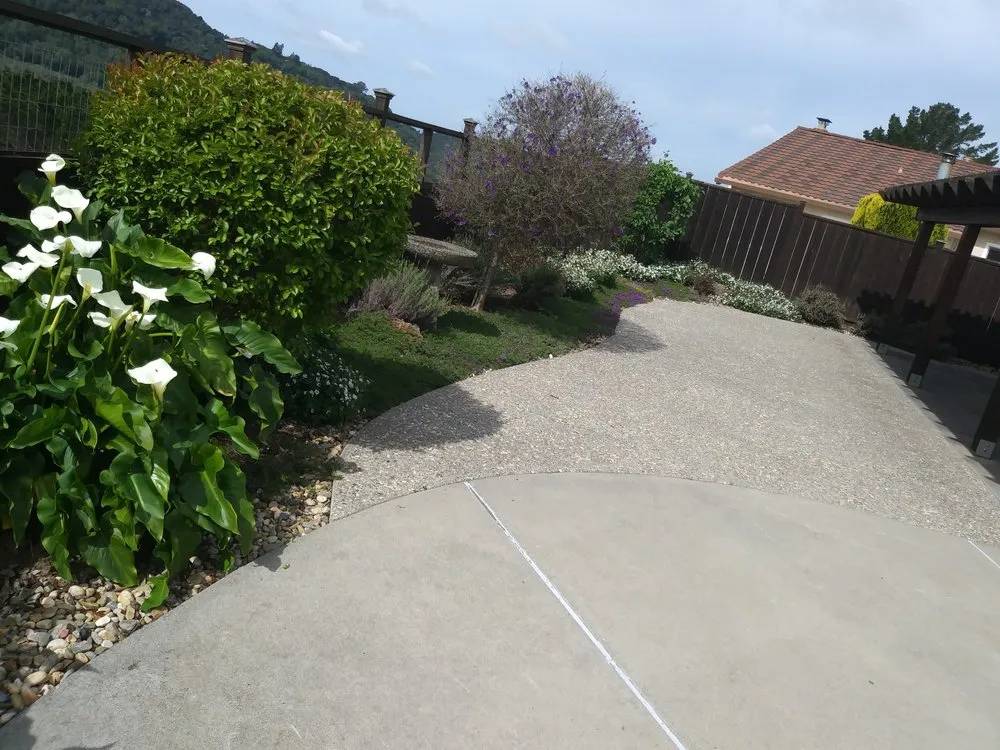 Trusted yard maintenance experts serving San Pablo, CA - DVS Landscaping