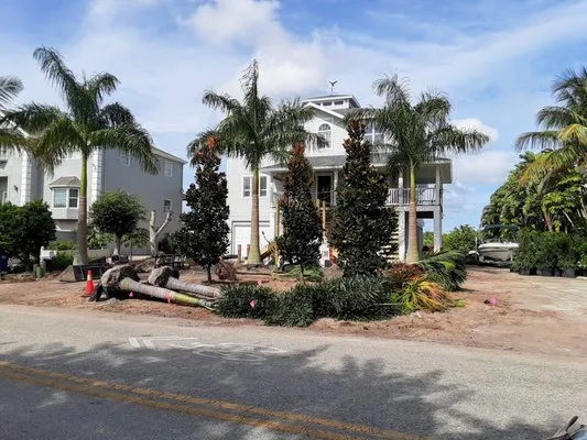 DW Landscape Design & Installation Logo