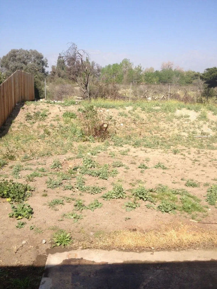 Affordable garden landscaping in Upland, CA - DW Landscape