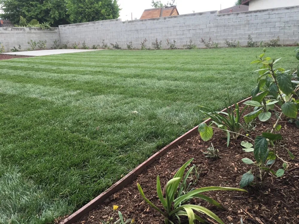 Expert landscape installation in Upland, CA - DW Landscape