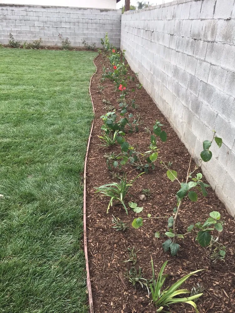 Top-rated lawn mowing service experts serving Upland, CA - DW Landscape