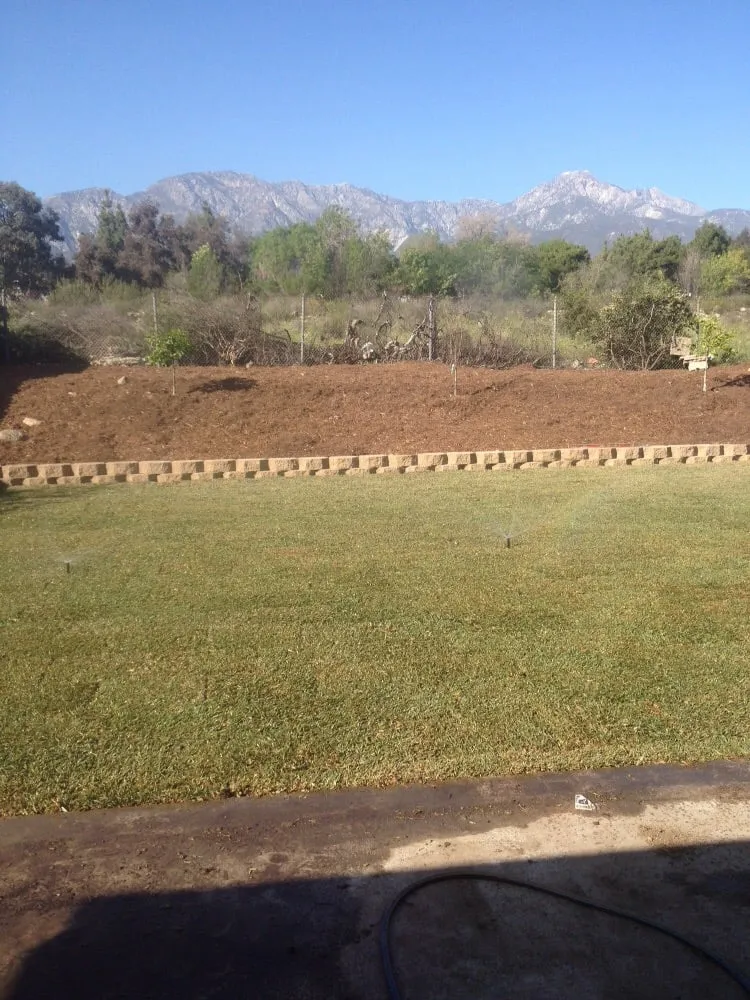 Affordable residential landscaping for year-round maintenance in Upland, CA by DW Landscape