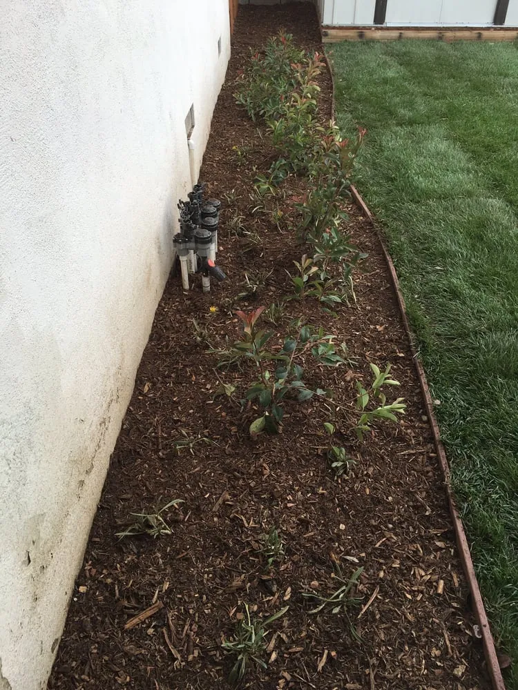 Reliable landscape design with custom design in Upland, CA by DW Landscape