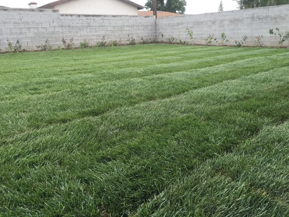 Top-rated landscaping services near you in Upland, CA by DW Landscape