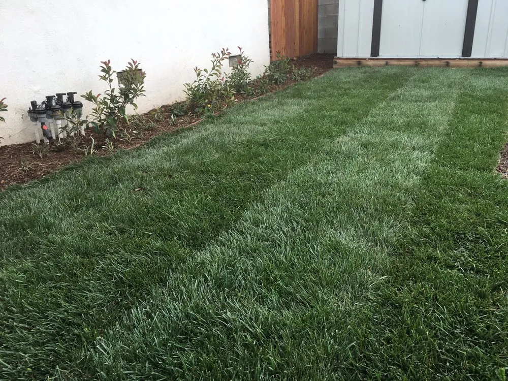Trusted yard cleanup service for outdoor upgrades across Upland, CA - DW Landscape