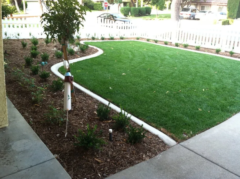 Trusted yard maintenance experts serving Upland, CA - DW Landscape