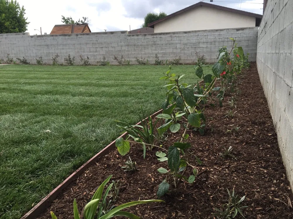 Reliable lawn mowing service experts serving Upland, CA - DW Landscape