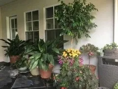 Affordable residential landscaping near you across Bakersfield, CA - DW Landscaping