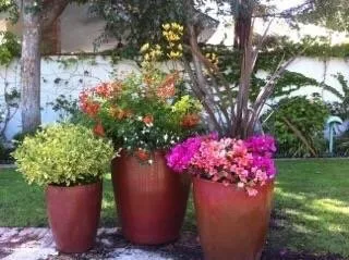 Reliable yard maintenance for year-round maintenance in Bakersfield, CA by DW Landscaping