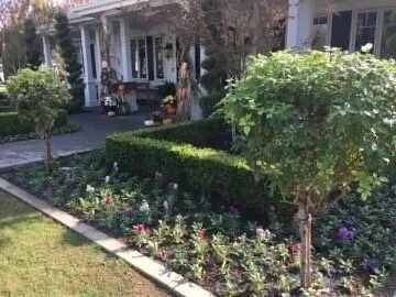 Custom outdoor landscaping in Bakersfield, CA by DW Landscaping