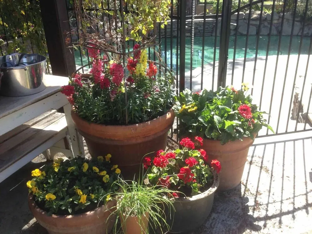 Affordable garden landscaping experts serving Bakersfield, CA - DW Landscaping