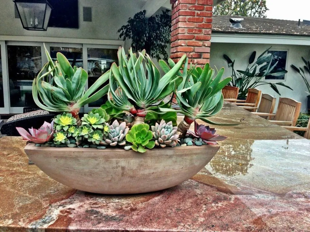 Local outdoor landscaping for outdoor upgrades in Bakersfield, CA by DW Landscaping