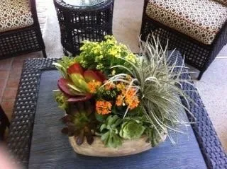 Top-rated yard maintenance in Bakersfield, CA - DW Landscaping