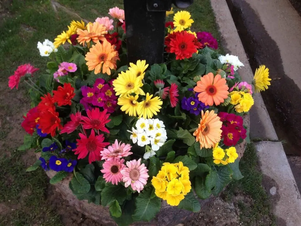 Trusted outdoor landscaping for year-round maintenance across Bakersfield, CA - DW Landscaping