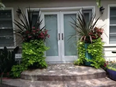 Local yard maintenance in Bakersfield, CA by DW Landscaping