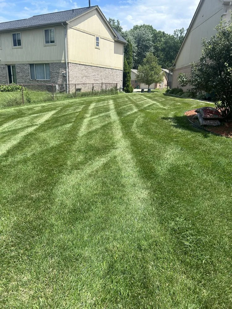 Professional yard cleanup service in Warren, MI by D&W landscaping