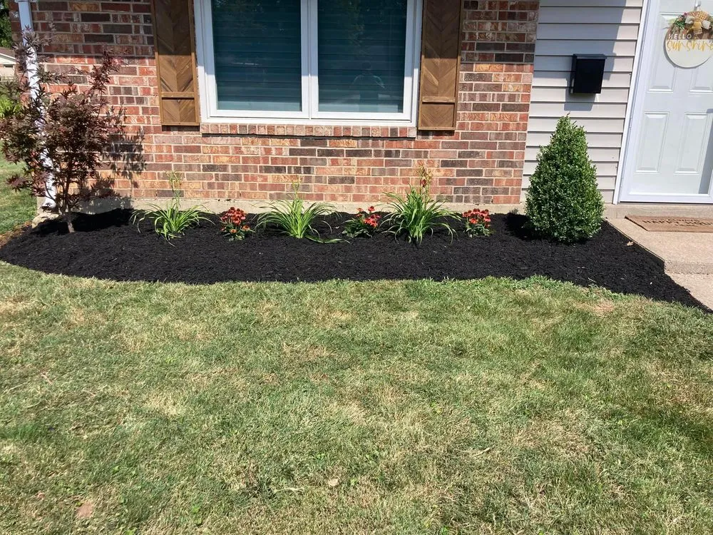 Trusted yard cleanup service in Englewood, OH by DW Lawn and Landscaping