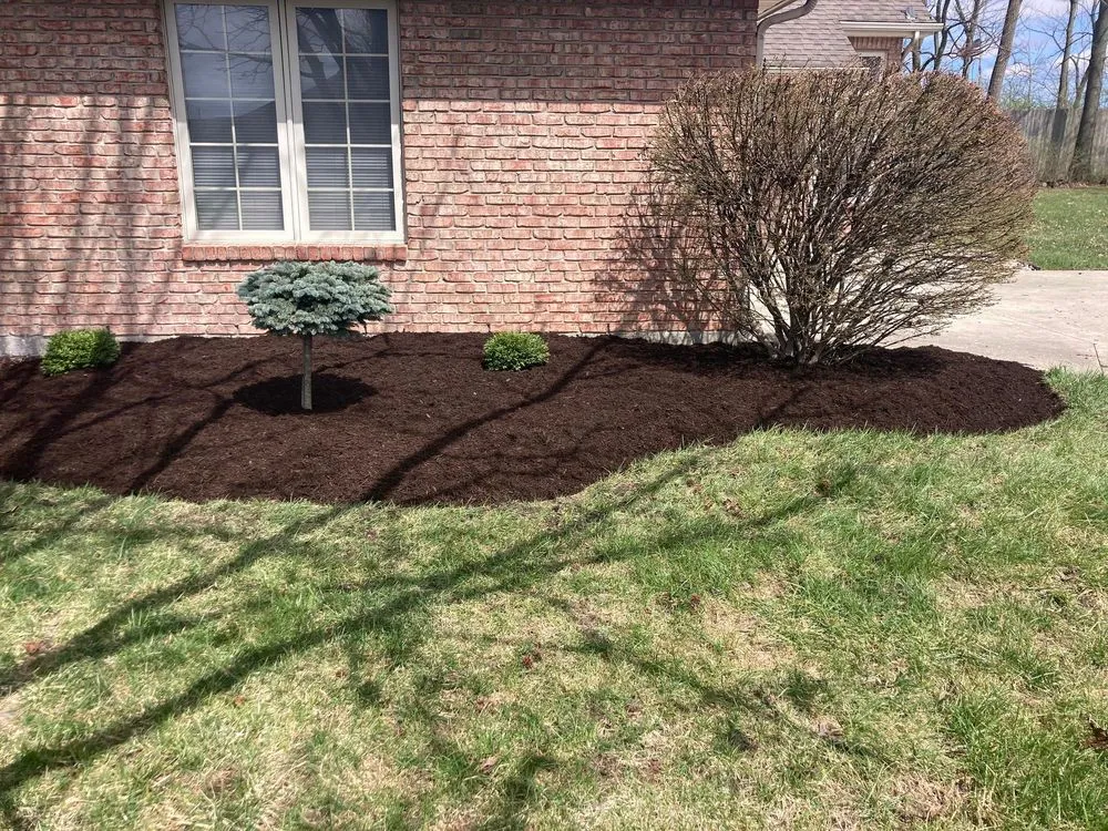 Reliable lawn mowing service near you across Englewood, OH - DW Lawn and Landscaping