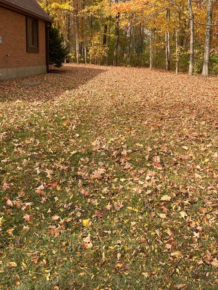 Top-rated residential landscaping for year-round maintenance in Englewood, OH by DW Lawn and Landscaping