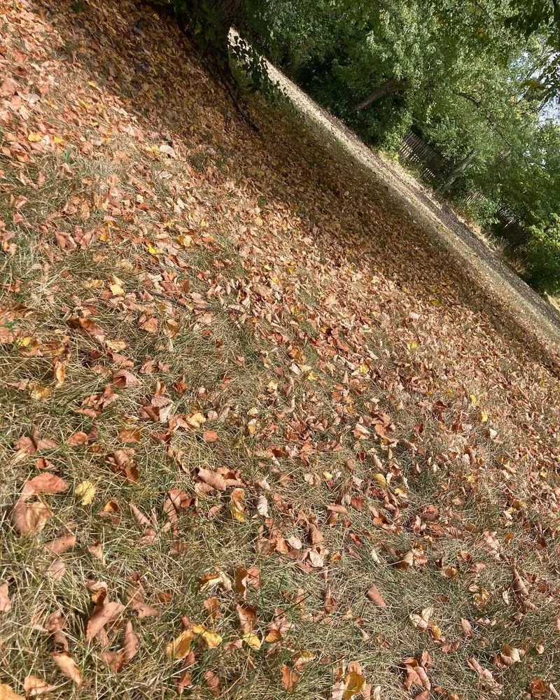 Top-rated landscape installation experts serving Englewood, OH - DW Lawn and Landscaping