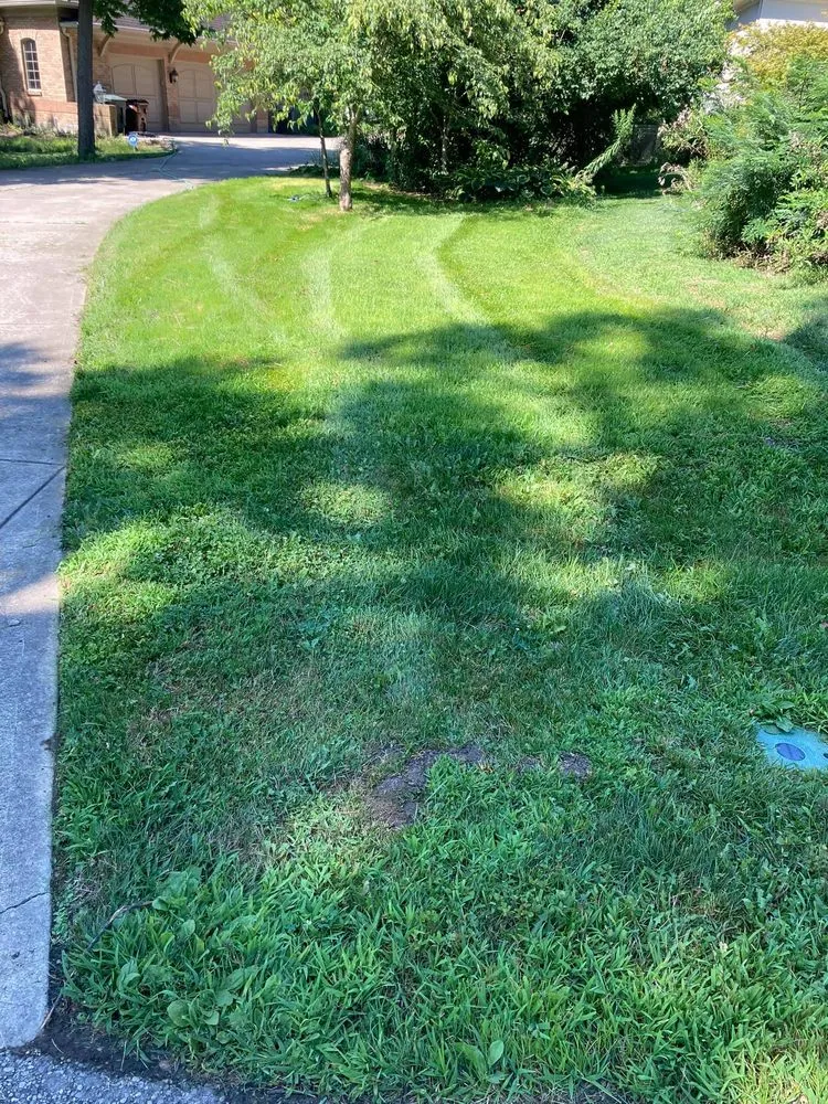 Local residential landscaping for beautiful yards across Englewood, OH - DW Lawn and Landscaping