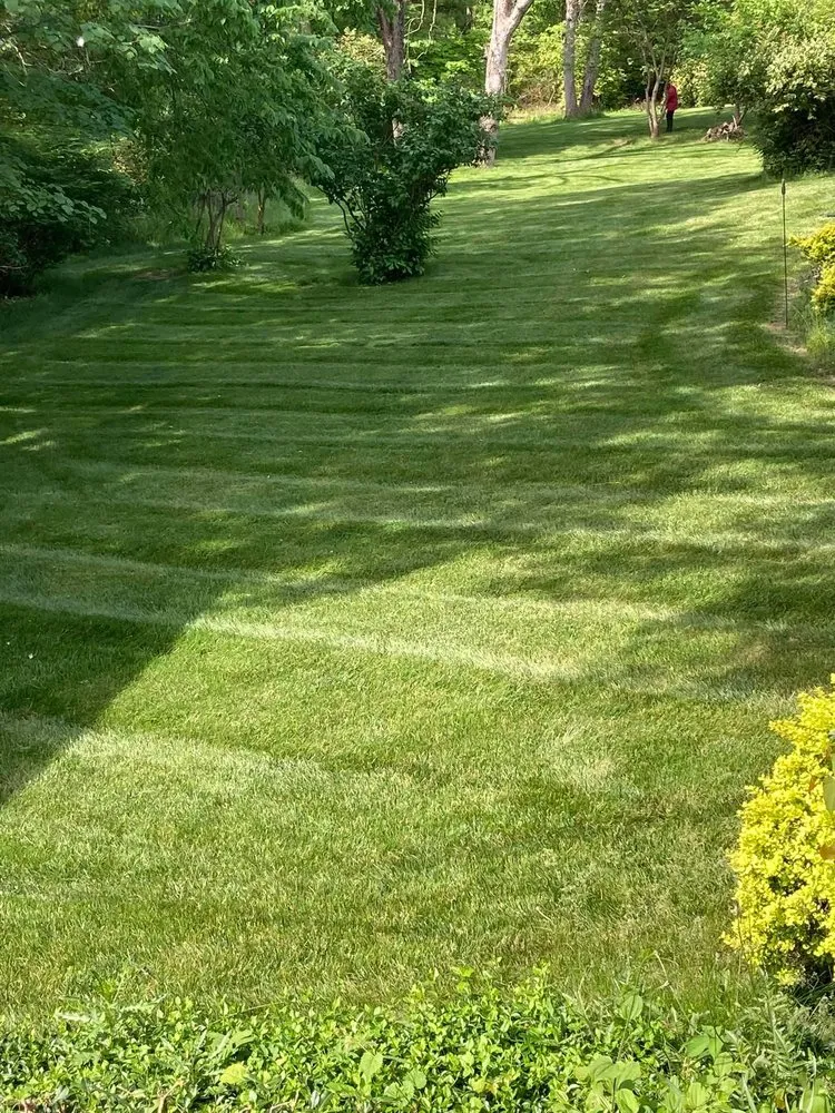 Local landscape installation in Englewood, OH - DW Lawn and Landscaping