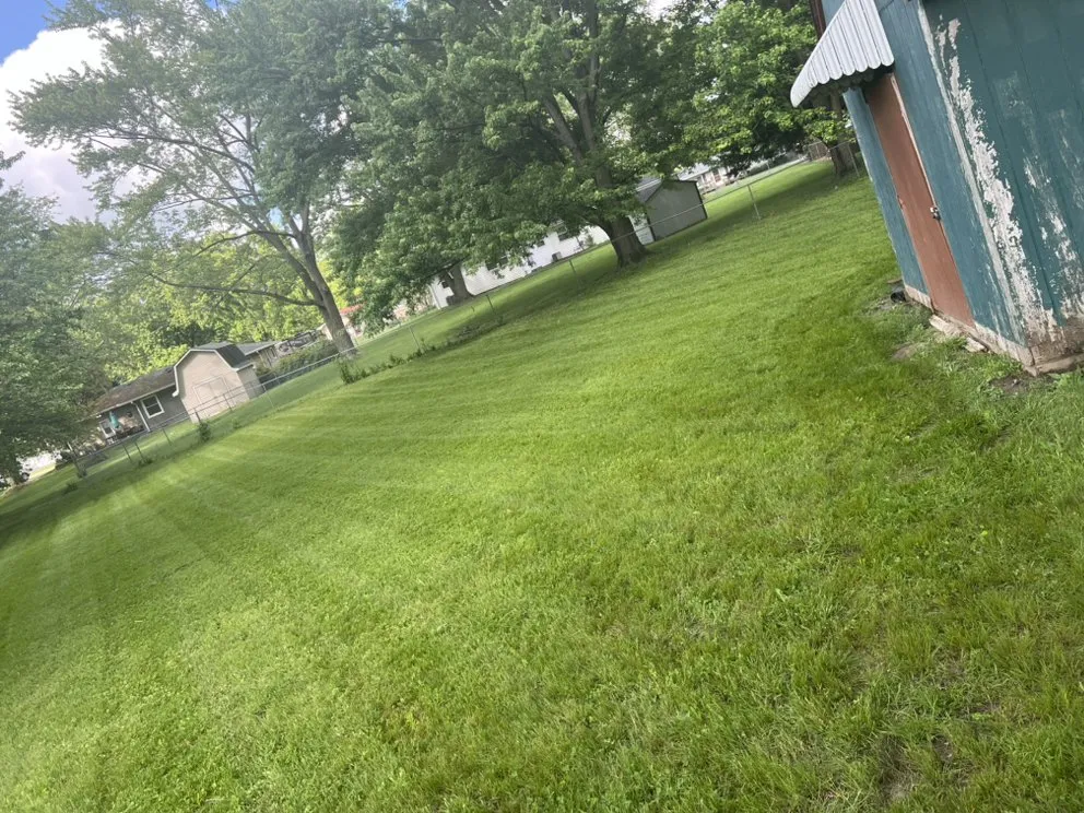 Expert yard maintenance for residential properties across Decatur, IL - Dw lawn care