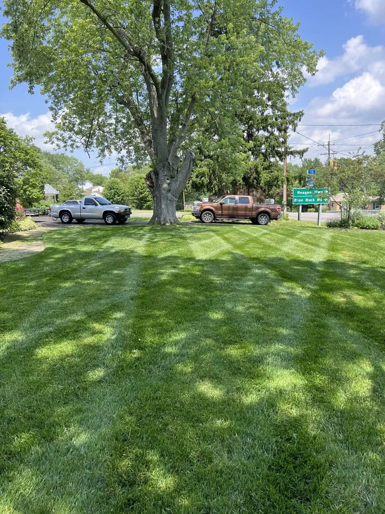 Reliable yard cleanup service for homes across Dunlap, OH - DW Lawncare