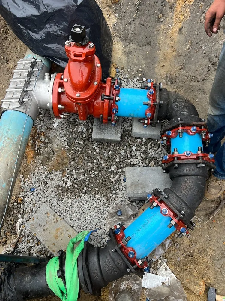 Professional landscape design in Pawleys Island, SC by D&W Sitework