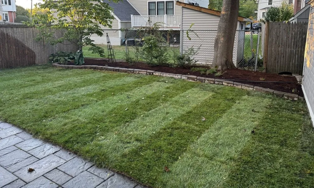 Trusted yard maintenance near you across Lynn, MA - D&W Tree Service and Landscaping