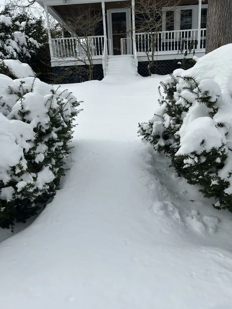 Trusted lawn mowing service for year-round maintenance across Lynn, MA - D&W Tree Service and Landscaping