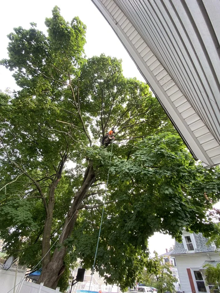 Reliable garden landscaping for year-round maintenance in Lynn, MA by D&W Tree Service and Landscaping