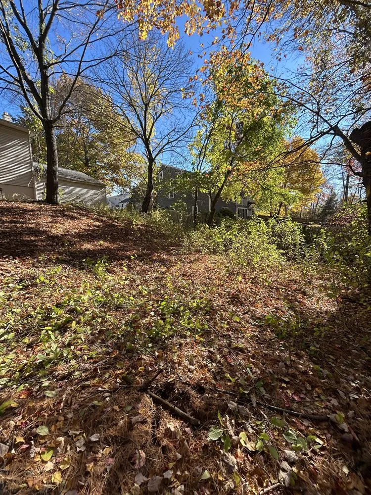 Top-rated landscape design experts serving Lynn, MA - D&W Tree Service and Landscaping