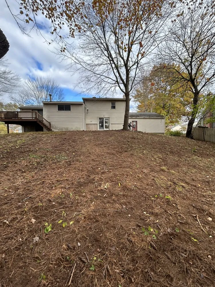 Trusted landscaping services for homes across Lynn, MA - D&W Tree Service and Landscaping